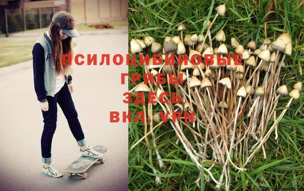 трава Алексин