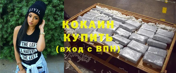 прущий лед Алзамай