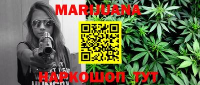 шишки Будённовск