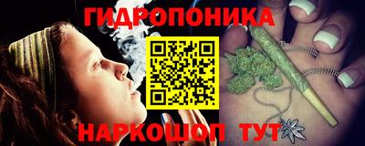 шишки Будённовск