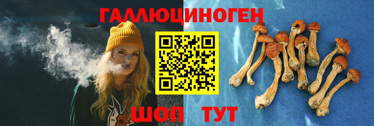 Галлюциногенные грибы Psilocybine cubensis  Вход с VPN  Бердск  Псилоцибиновые грибы Magic Shrooms 
